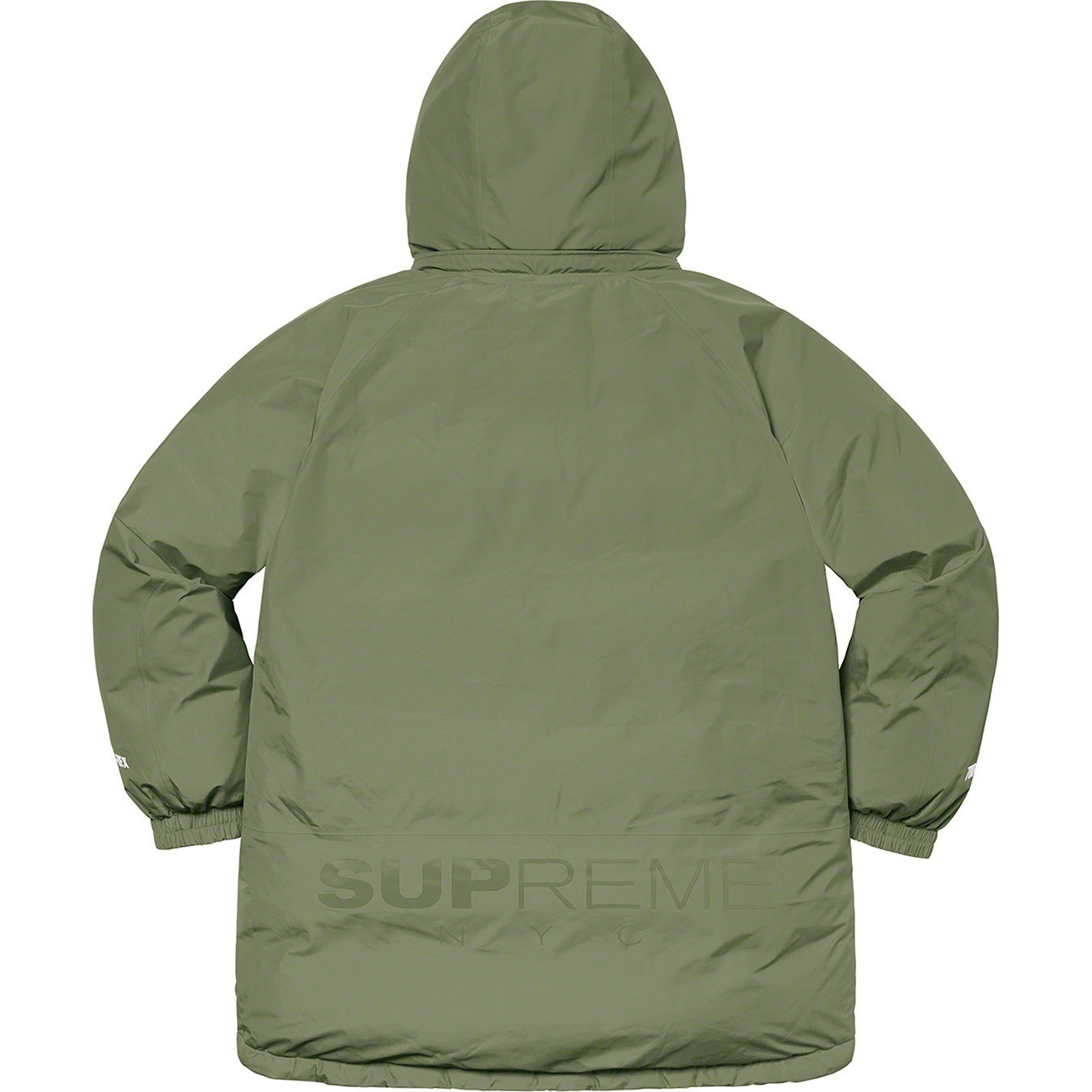 GORE-TEX 700-Fill Down Parka view 15